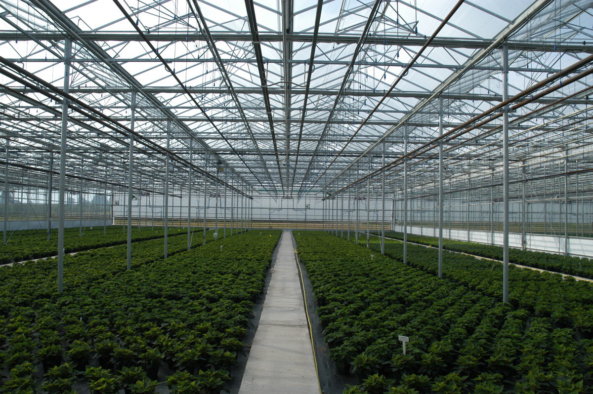 applications/greenhouses/commercial-greenhouse-1.jpg