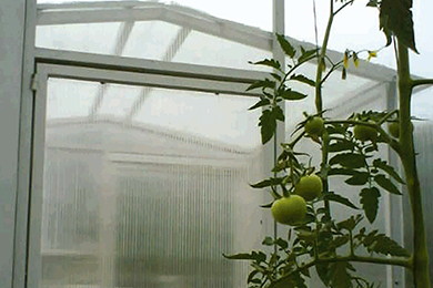 applications/greenhouses/commercial-greenhouse-3.jpg